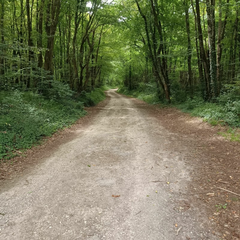 Balade familiale à Port-d'Envaux dans le Bois de la Tour - Port-d'Envaux