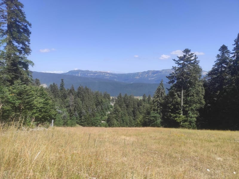 Chemin des abeilles à Méaudre - Autrans-Méaudre en Vercors