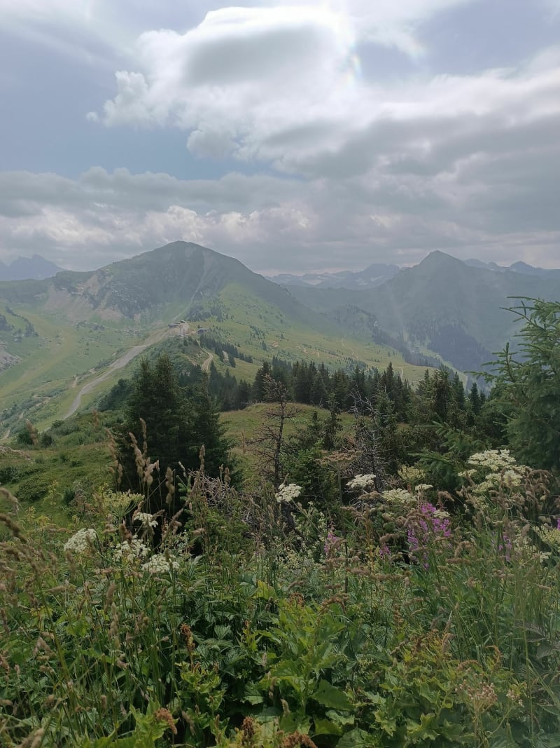 Du Col de Bassachaux à la Tête du Lindaret - Châtel