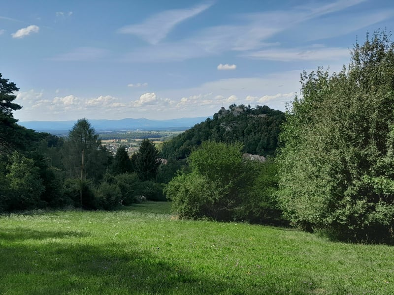 Mooslargue par Gesasswald - Mooslargue