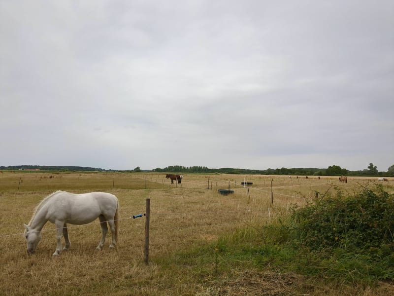 Balade en famille en terre Henson - Saint-Quentin-en-Tourmont
