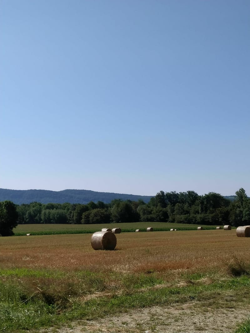 Balade sur le Revermont et la plaine Jurassienne - Frébuans
