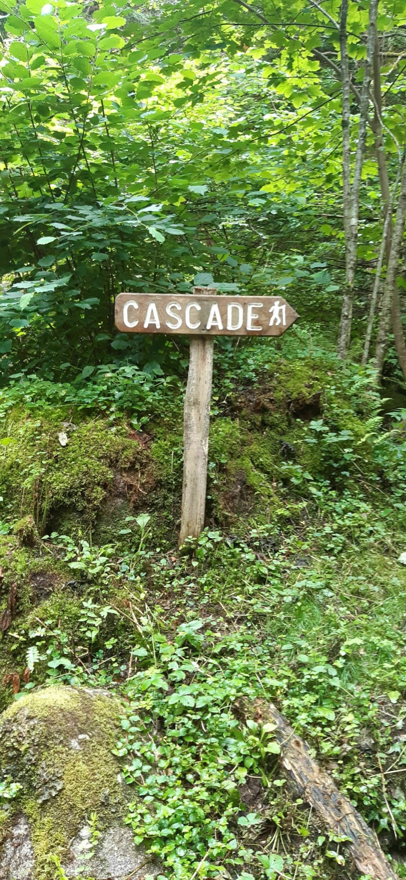 La cascade de Gumières - Gumières