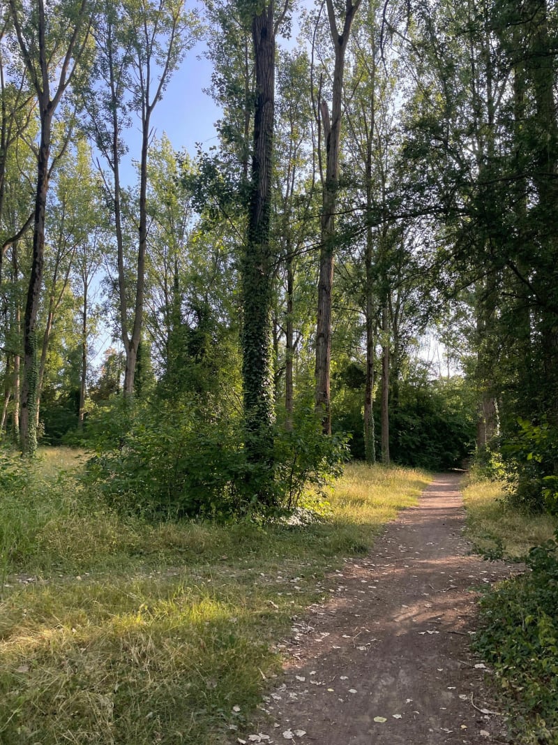 La Peupleraie et Chemin de Beaumont - Hénin-Beaumont