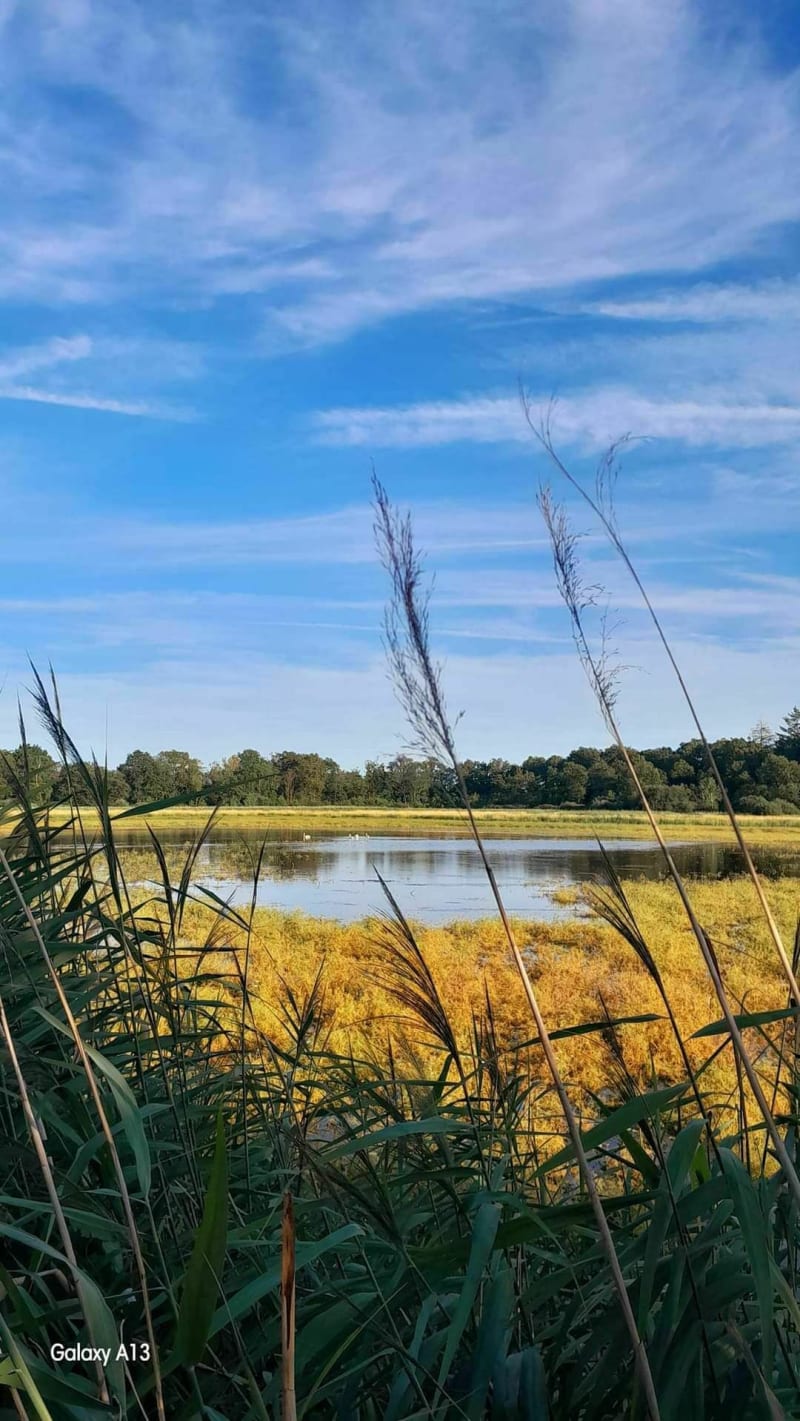 Boucle boisée à travers les étangs depuis Saint-Paul-de-Varax - Saint-Paul-de-Varax