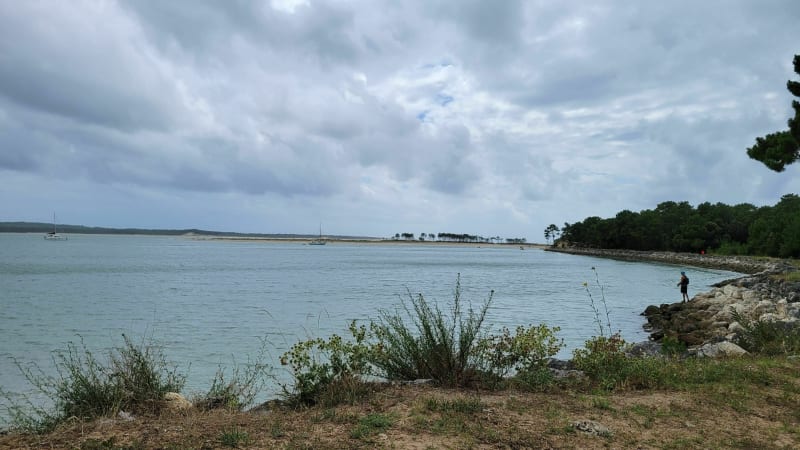 Balade bucolique autour du marais des Bris - Saint-Trojan-les-Bains