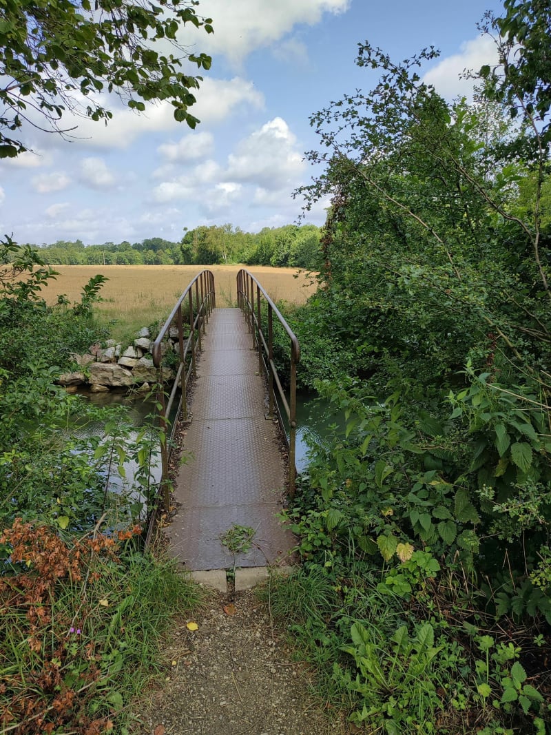 Balade autour de Trémont-sur-Saulx - Trémont-sur-Saulx