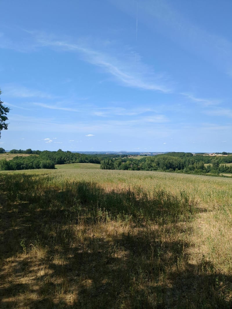 Balade du côté de Montauban - Montauban