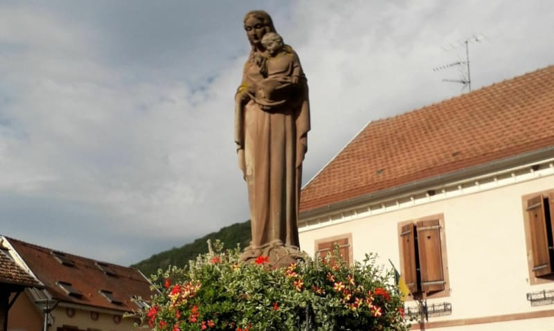 Entre plaine du Rhin et vignobles à Châtenois - Châtenois