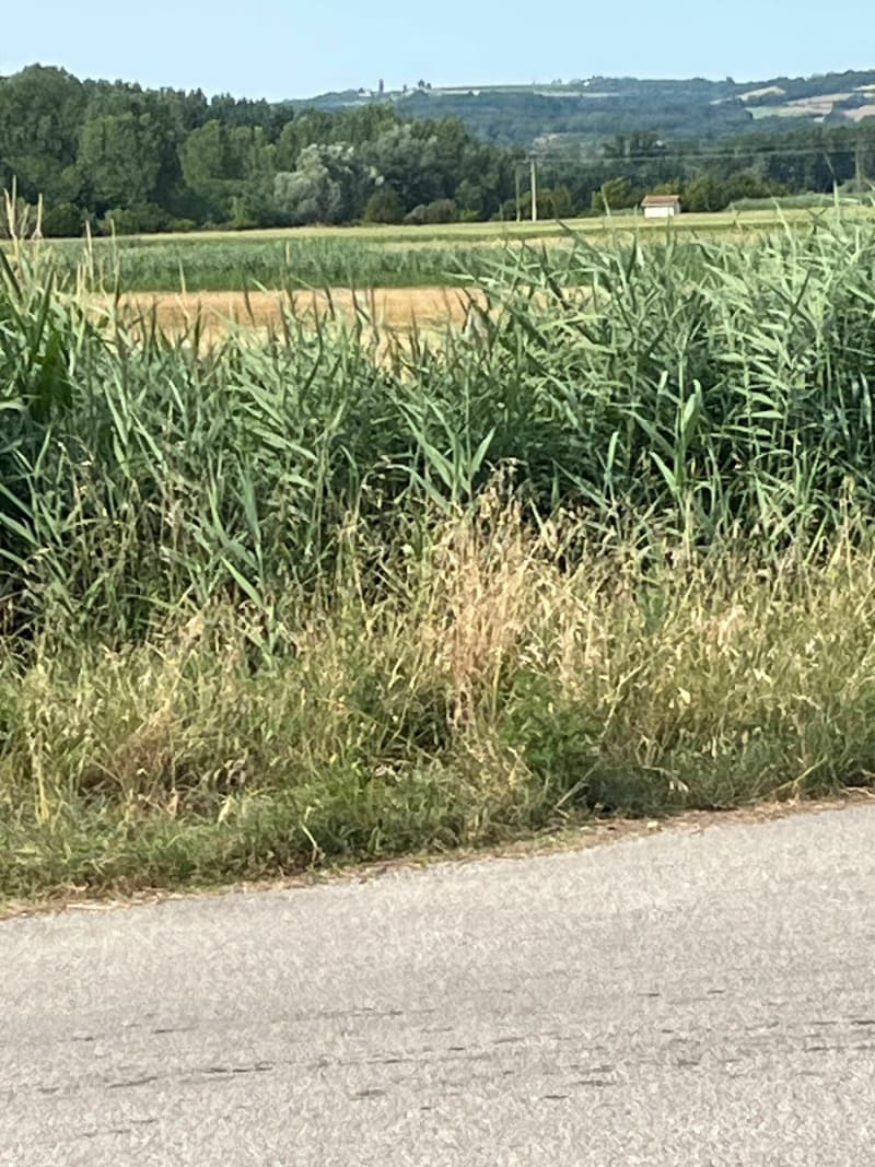 Balade vers Saint Avit et Ratières - Saint-Jean-de-Galaure