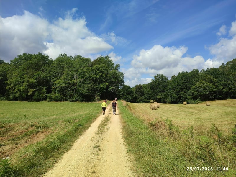 Dans les bois au nord de Monpazier - Monpazier