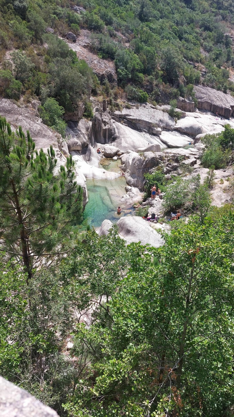 Rivière du Cavu près de Porto-Vecchio - Lecci