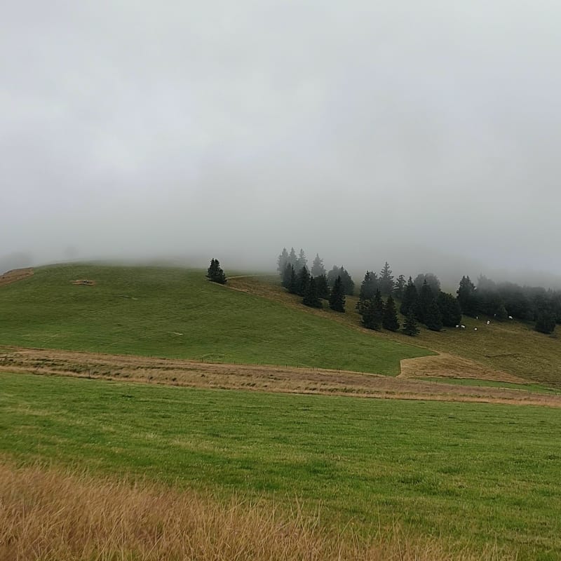 Lac de la Lauch - Linthal