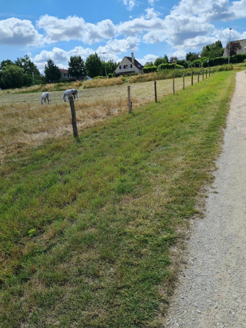De Lagny par le Golf de Bussy-Guermantes et la Gondoire - Lagny-sur-Marne