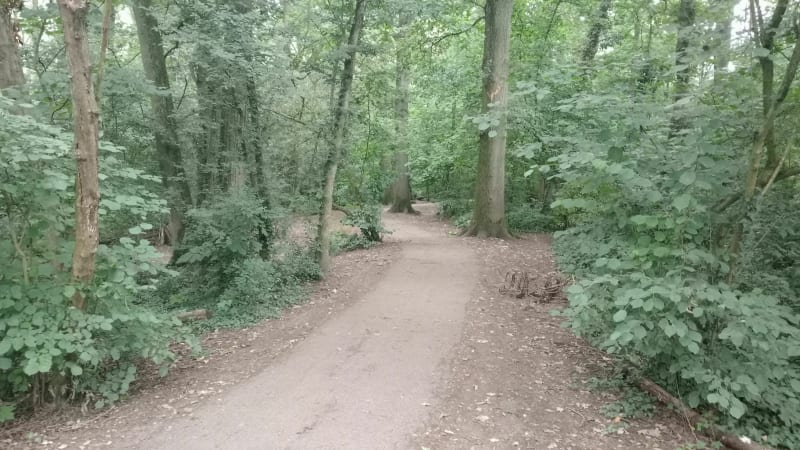 Lille, balade entre lacs, forêts et champs depuis Villeneuve-d'Ascq - Villeneuve-d'Ascq