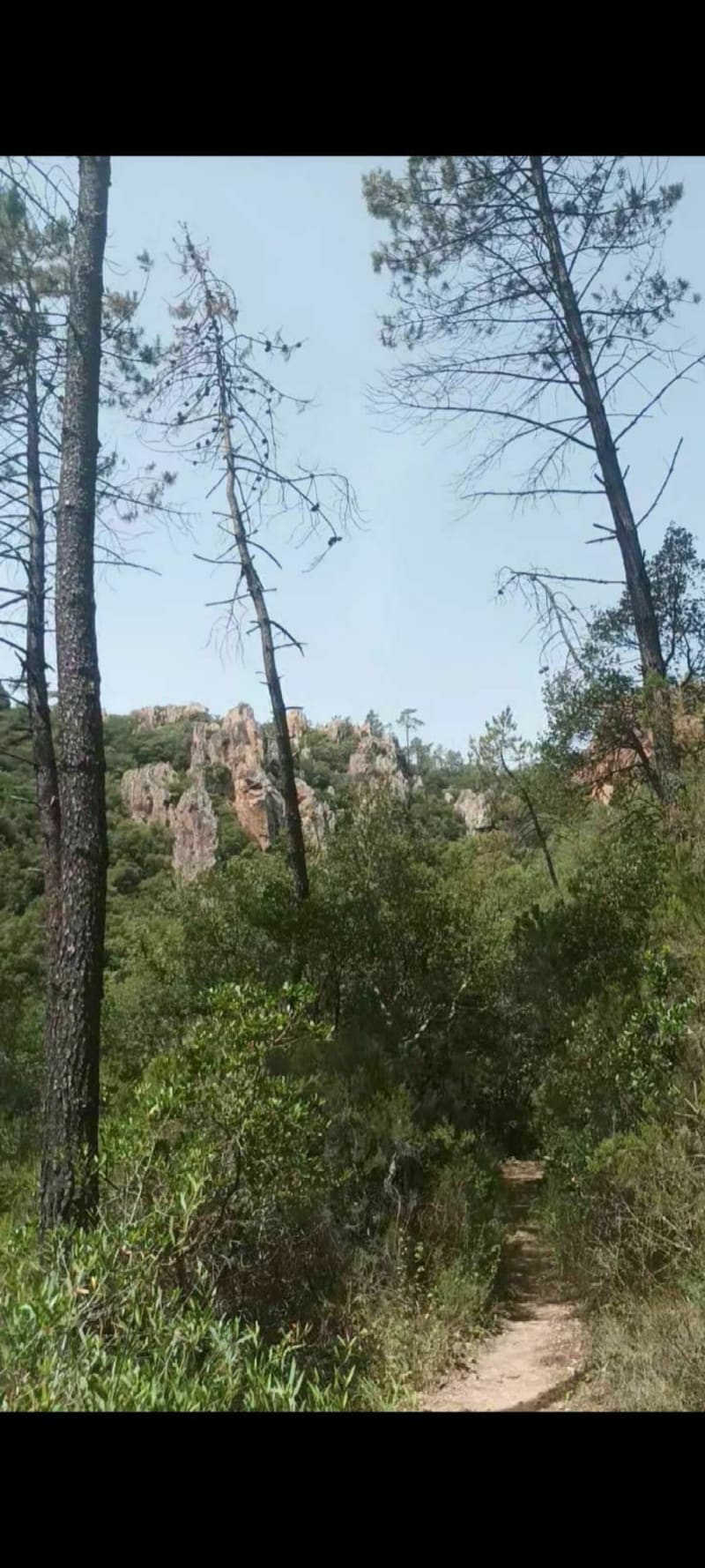 Gorges du Blavet par le Muéron - Bagnols-en-Forêt