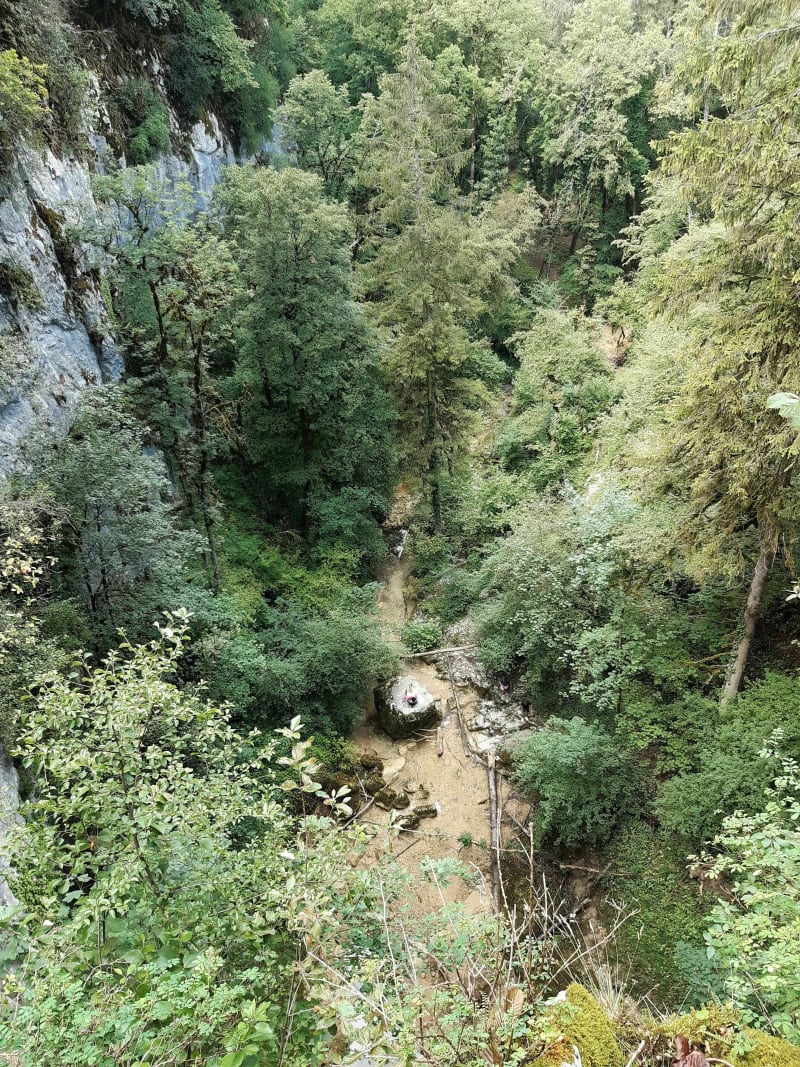 Cascade de Quinquenouille et bord du Dard - Valzin en Petite Montagne