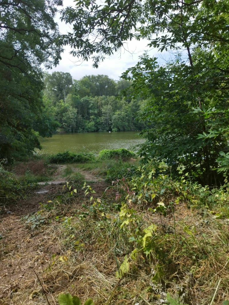 Belle promenade entre forêt et ville depuis Meudon - Clamart