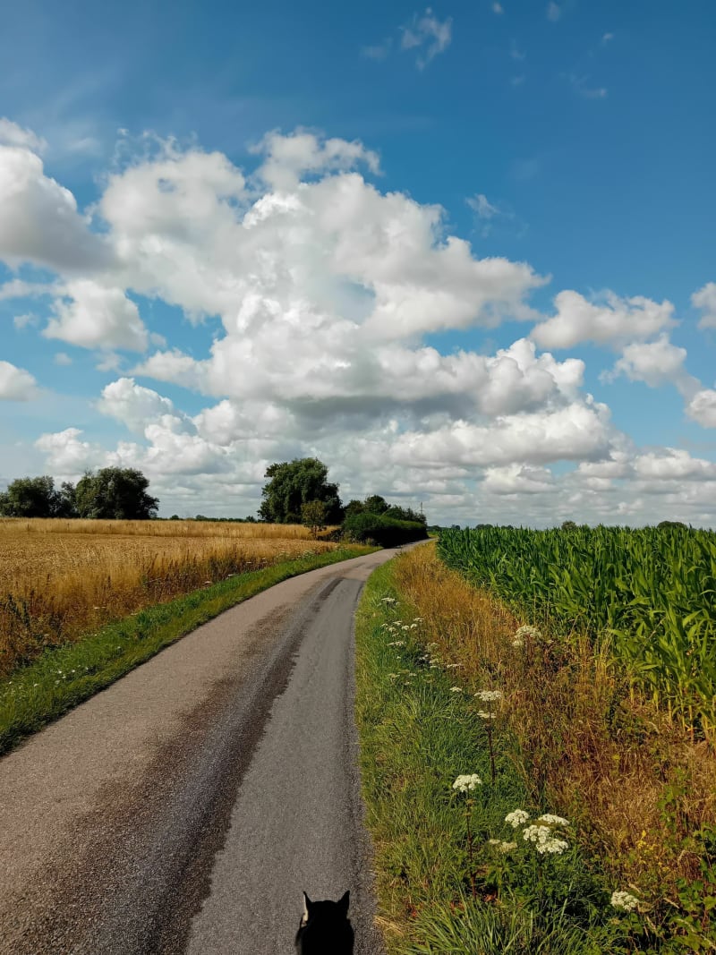A travers champs et le long de l'Yser par la Cloche - Zegerscappel