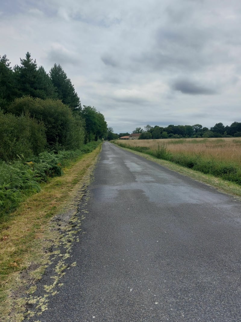 Balade par les chemins près d'une carrière sur Condéon - Condéon