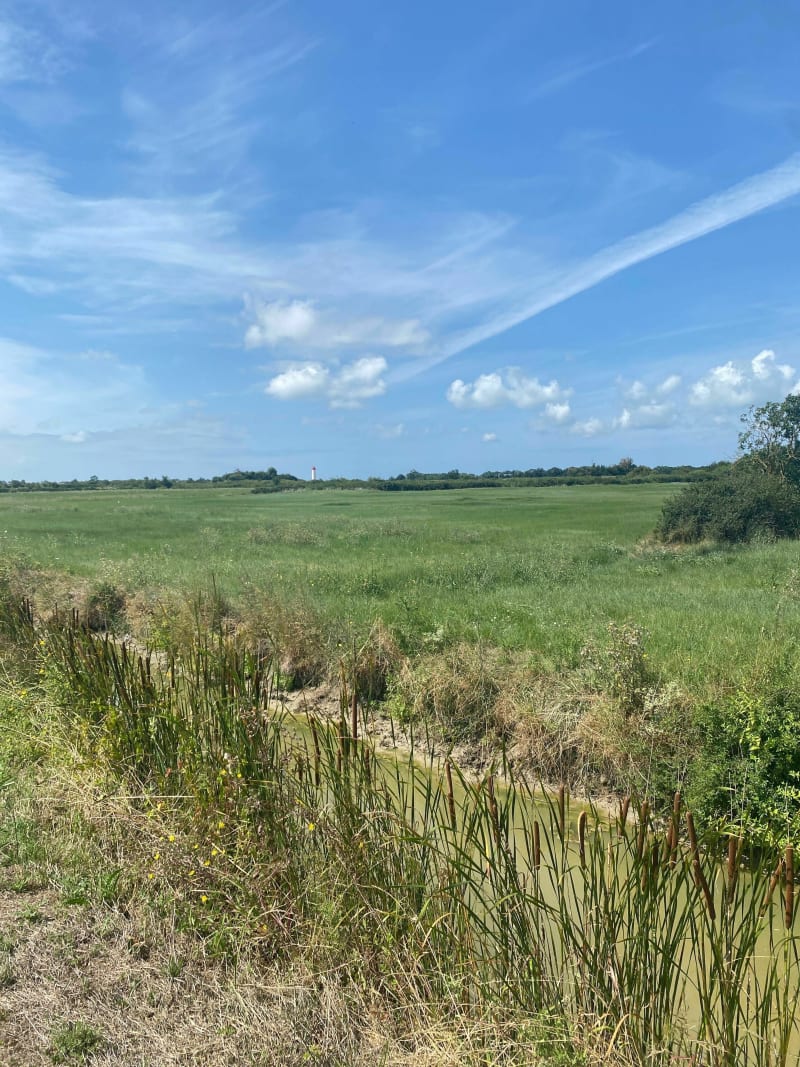 Les chemins de la presqu’île de Saint-Laurent par Fouras à vélo - Saint-Laurent-de-la-Prée