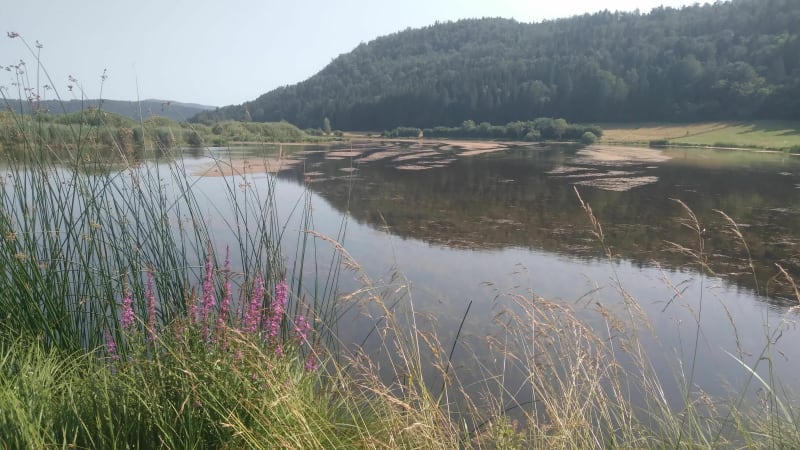 Les étangs de Lésines - Plateau d'Hauteville