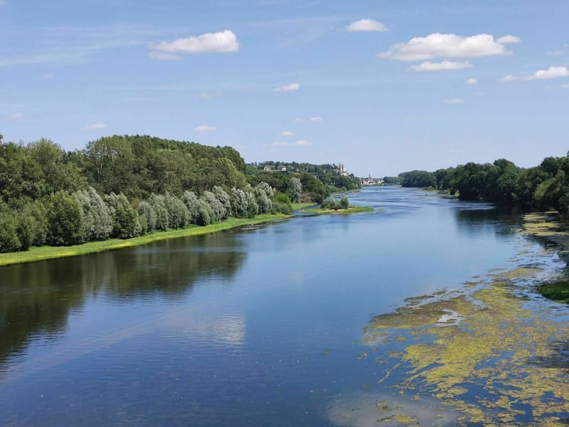 Boucle autour de la Vienne, en passant par Chinon et le Château de Danzay - Beaumont-en-Véron