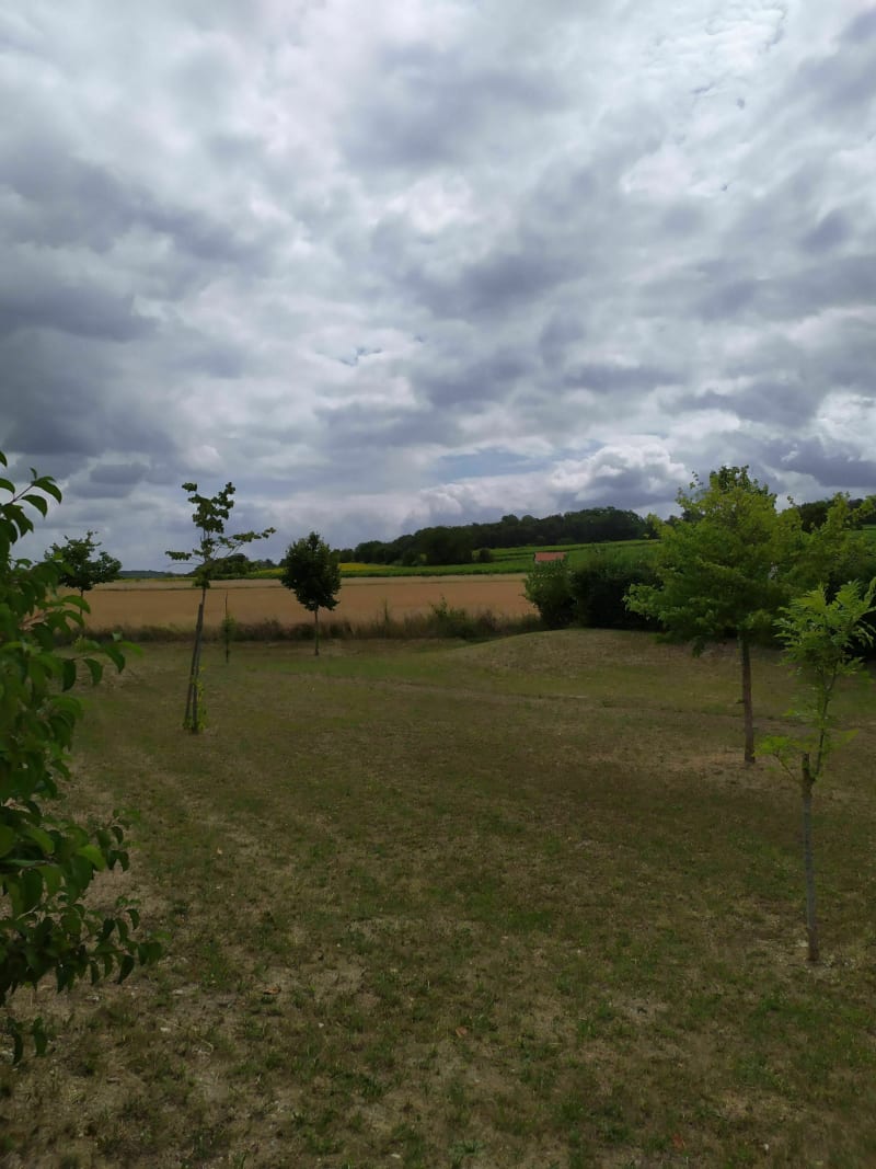 Balade long de la Loire à Avoine - Avoine