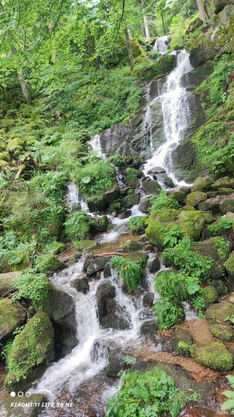 Magnifique cascades de la Serva et Magique Neuviller - Neuviller-la-Roche