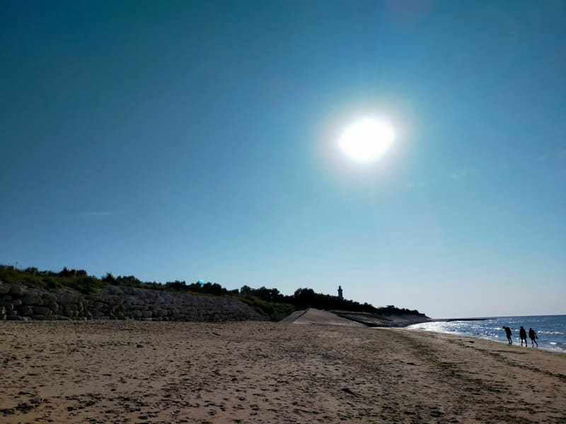 Direction la plage de la Conche à vélo - Ars-en-Ré