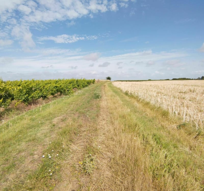Balade VTT au Nord ouest de Migné-Auxance - Migné-Auxances