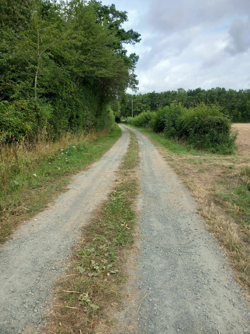 La balade de la Malloterie à Saint-Varent - Saint-Varent
