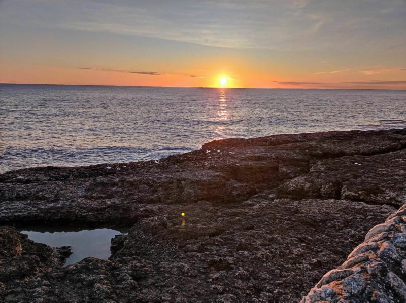 Boucle entre l'estuaire et la Seudre - Saint-Palais-sur-Mer
