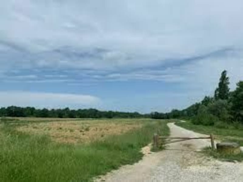Boucle entre Colomiers et Pibrac - Colomiers