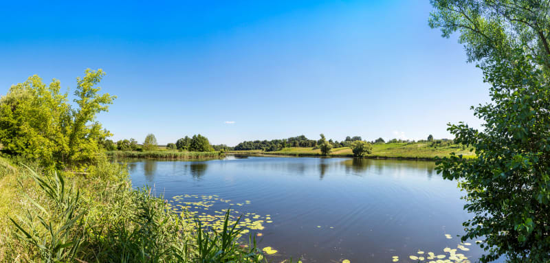 Mini-aventure autour du Lac de Guiche - Guiche