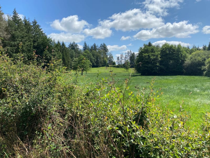 Balade a Saint-Julien-la-Geneste par le Bois de Pionsat à VTT - Saint-Julien-la-Geneste
