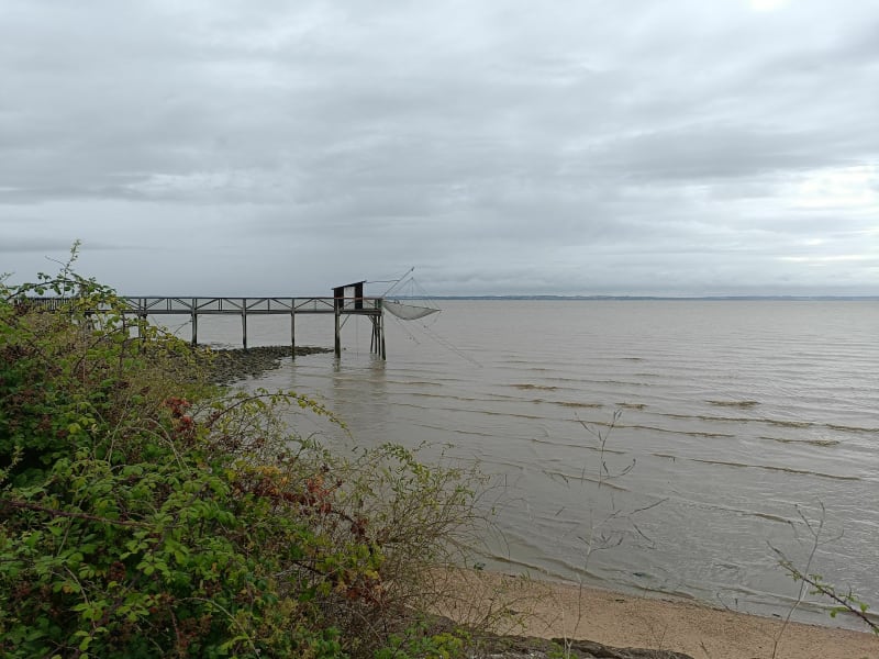 Lesparre Médoc balade entre Vignes et Estuaire de la Gironde - Gaillan-en-Médoc