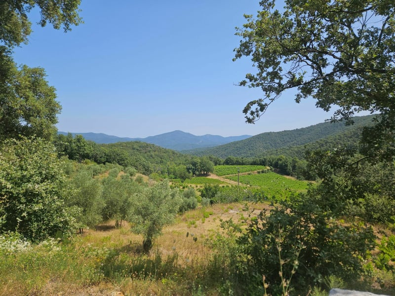 Col du Babou par Bormes-les-Mimosas - Toulon