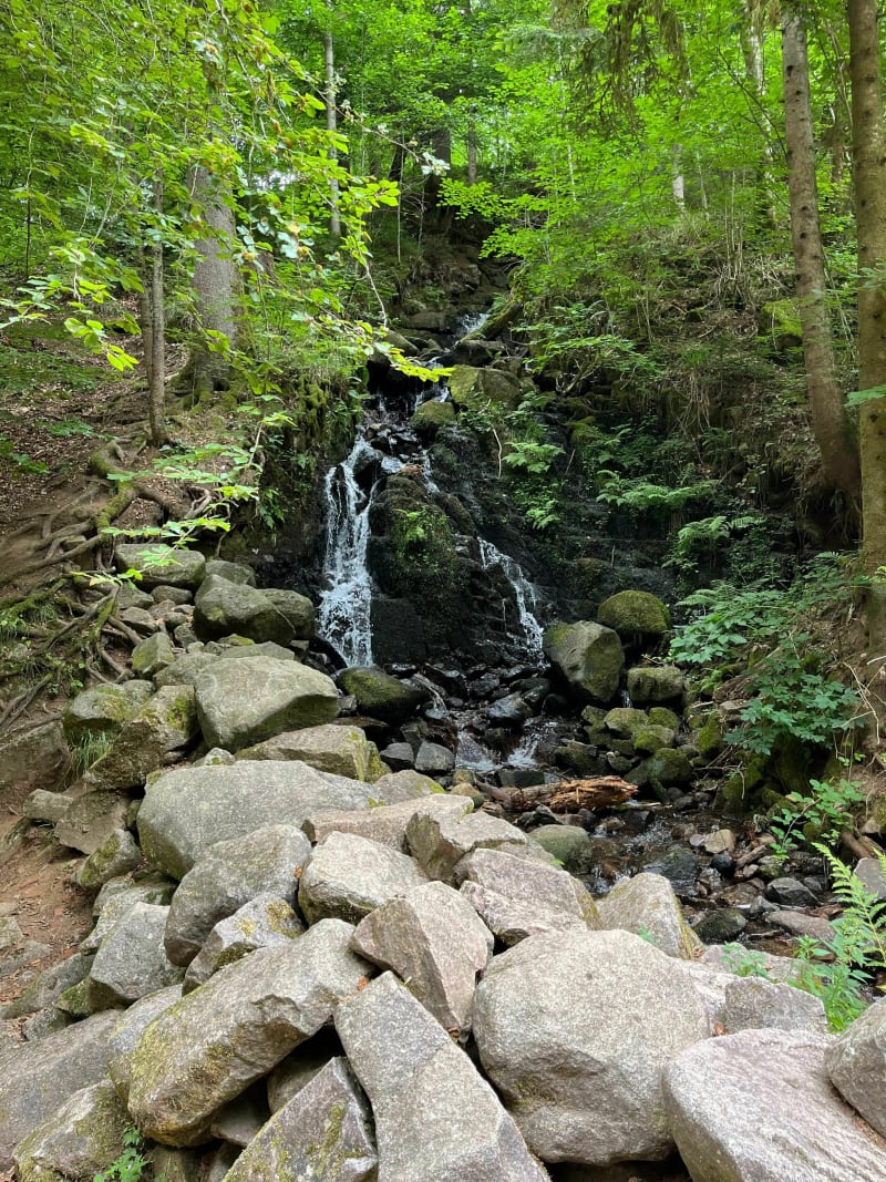 Cascade du bouchot départ de l’Avison - Sapois