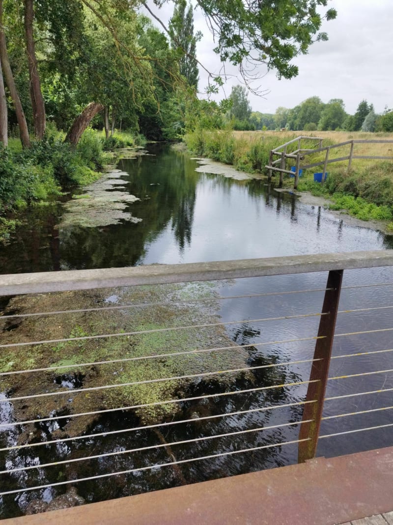 Balade entre le moulin de Lèves et Saint-Prest - Lèves