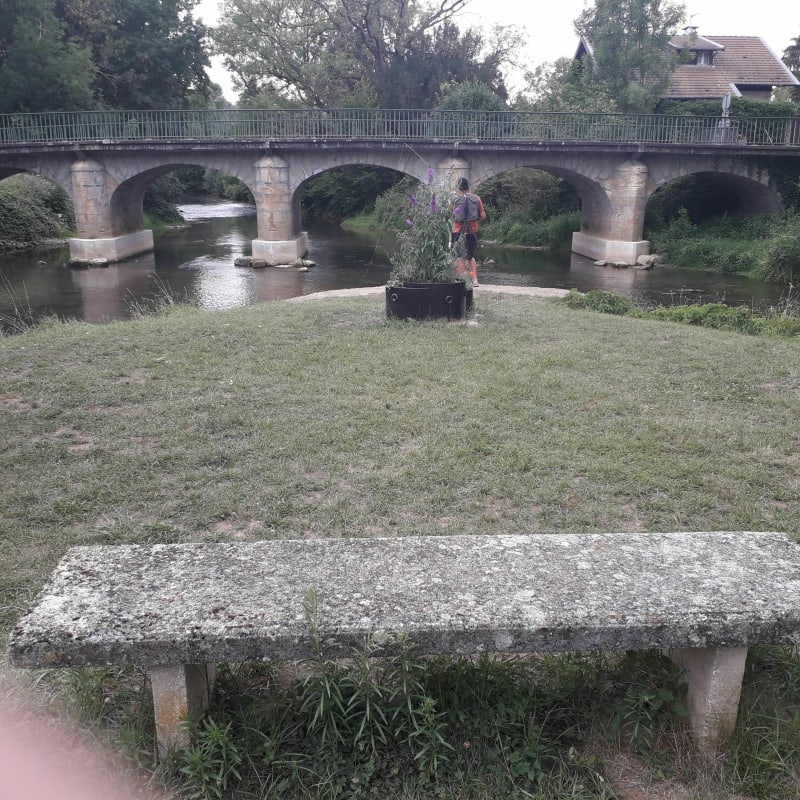 Sur le chemin des étangs de Beurey-sur-Saulx - Beurey-sur-Saulx