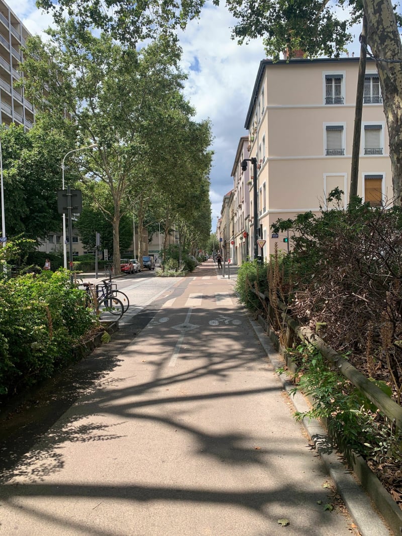 De Part Dieu au Parc de la Tête d’Or par les Quais et la Roseraie - Lyon