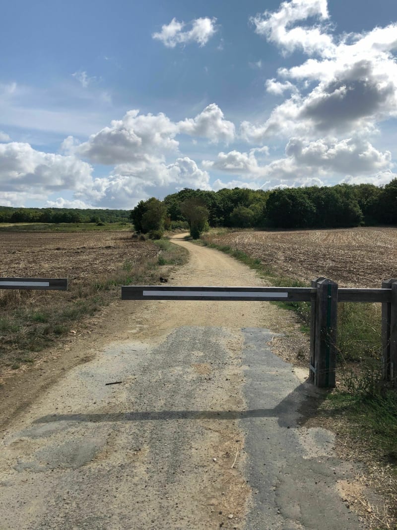 Randonnée en forêt entre Gravigny et Huest - Gravigny