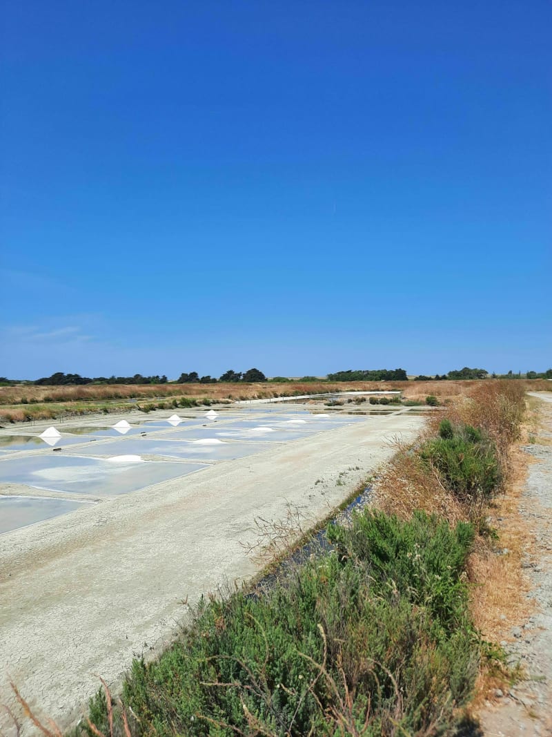 Entre marais et plage à Noirmoutier-en-l'île - Noirmoutier-en-l'Île