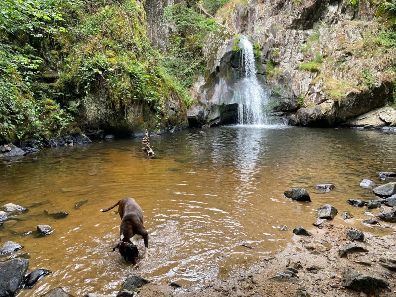 St Priest , la cascade et ses alentours - Saint-Priest-des-Champs