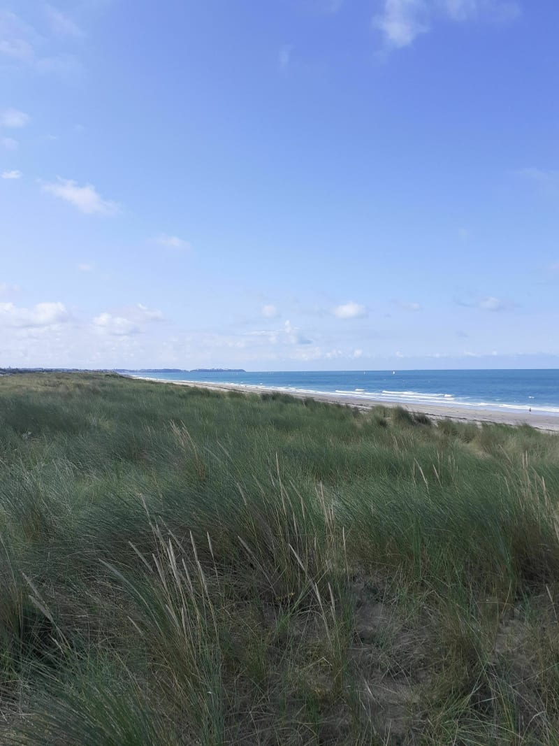 Balade Saint Martin de Brehal entre  terre et mer. - Bréhal
