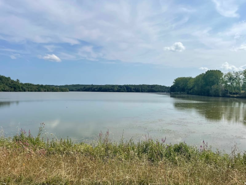 Autour du lac de la Prade - Bazas