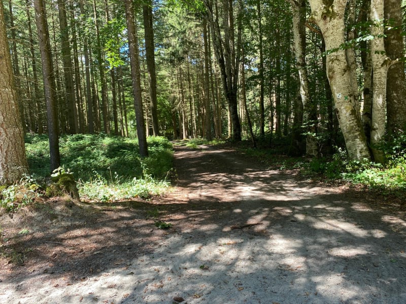 Randonnée de Dontreix et de ses environs - Dontreix
