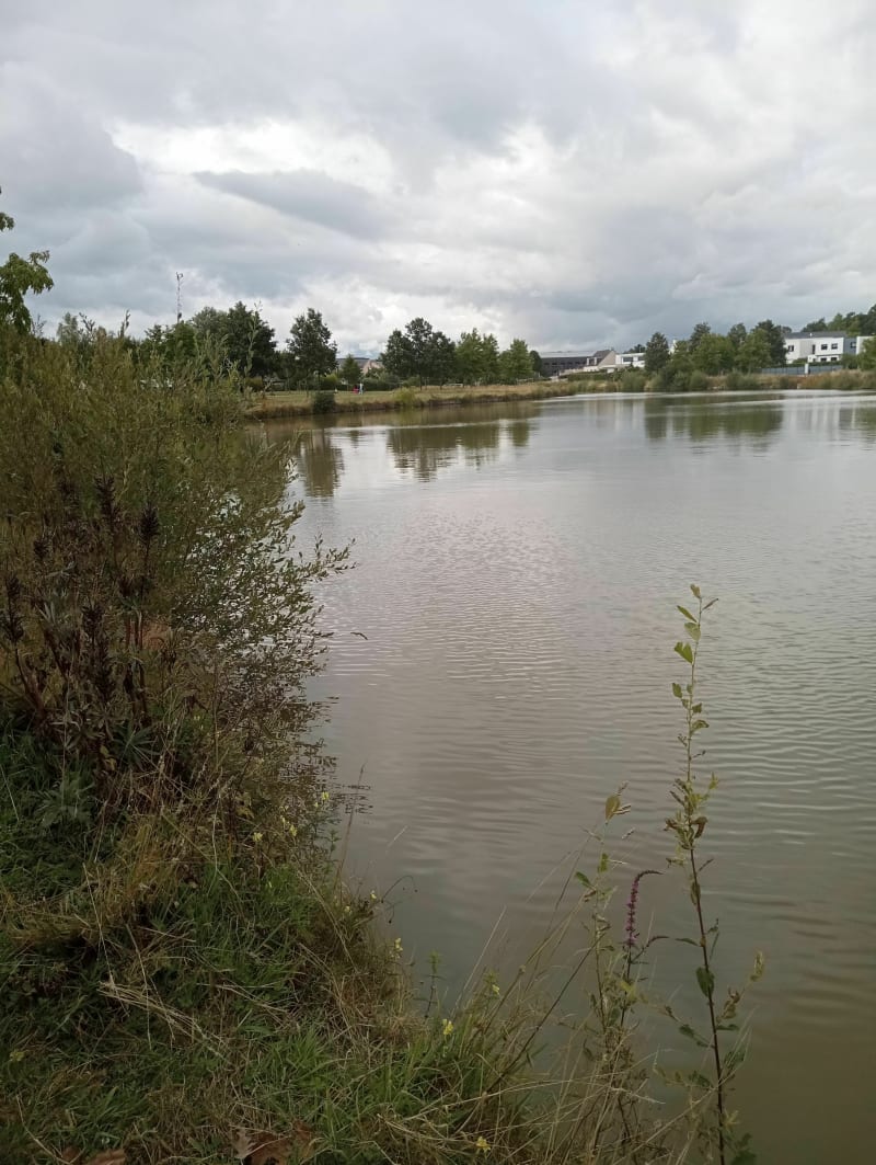 Balade vers l'étang de Tohannic - Vannes