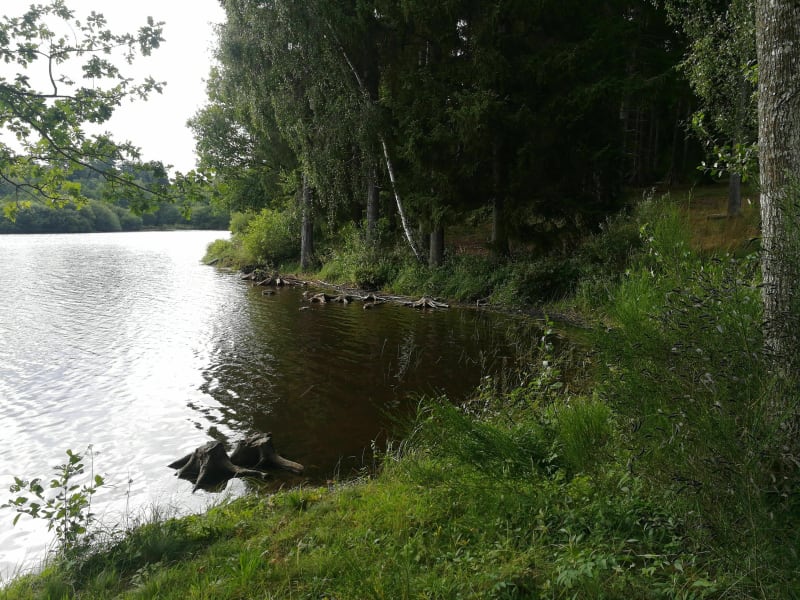 Autour du plan d'eau de l'Abeille - balade famille - Monestier-Merlines